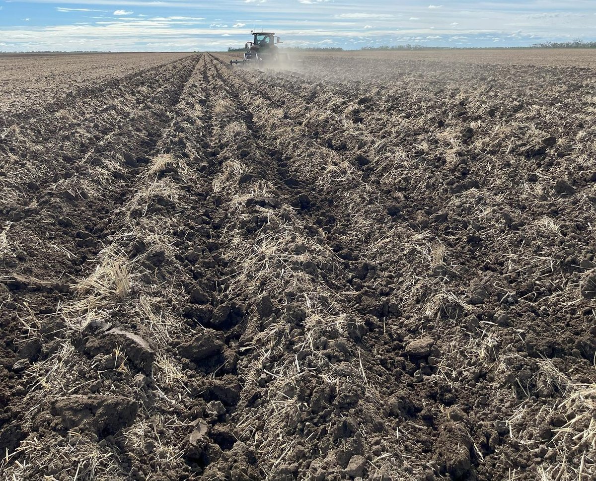 Agrowplow CP62 image 4