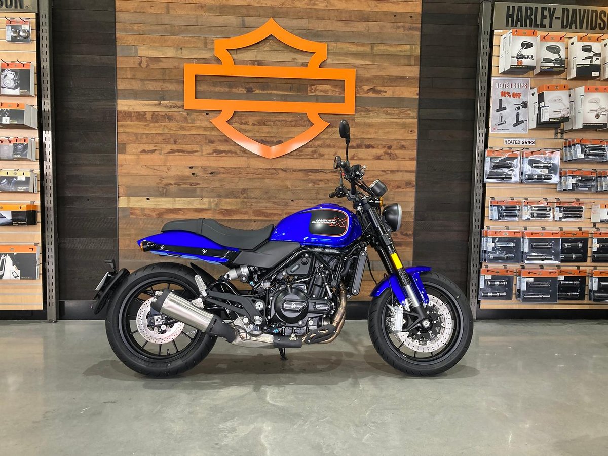 2025 Harley-Davidson X 500 X For Sale in Mayfield West at Fraser  Motorcycles Newcastle, NSW (Blue) | Fraser Motorcycles