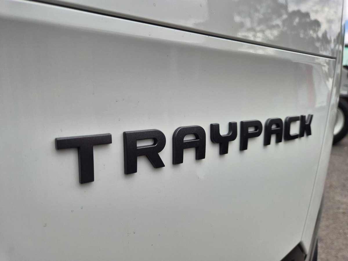 2026 Isuzu Nlr 45-150 Dt D34 Tray TRAYPACK image 16