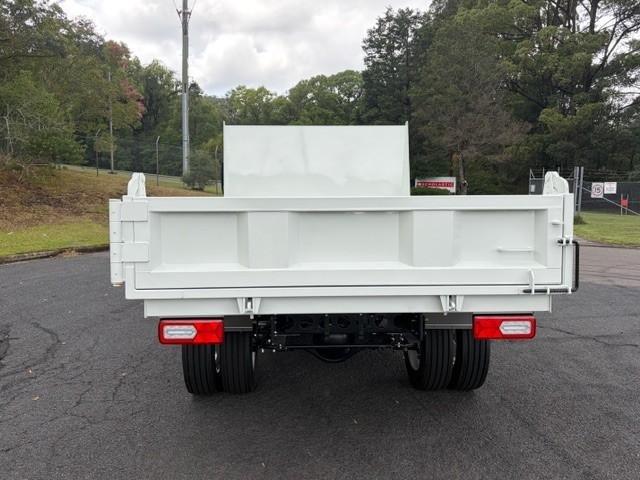 2025 Isuzu Nqr 88/80-190 Am D38 Tipper image 10
