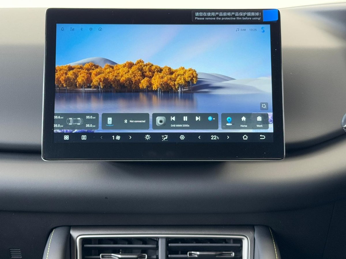 2025 BYD ATTO 2 Dynamic MY25 image 12
