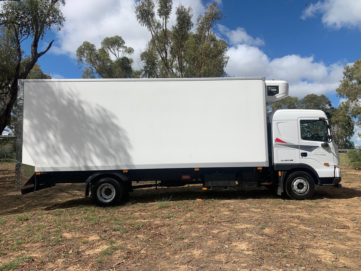 2025 Hyundai Pavise D115 Freezer Pantech image 8