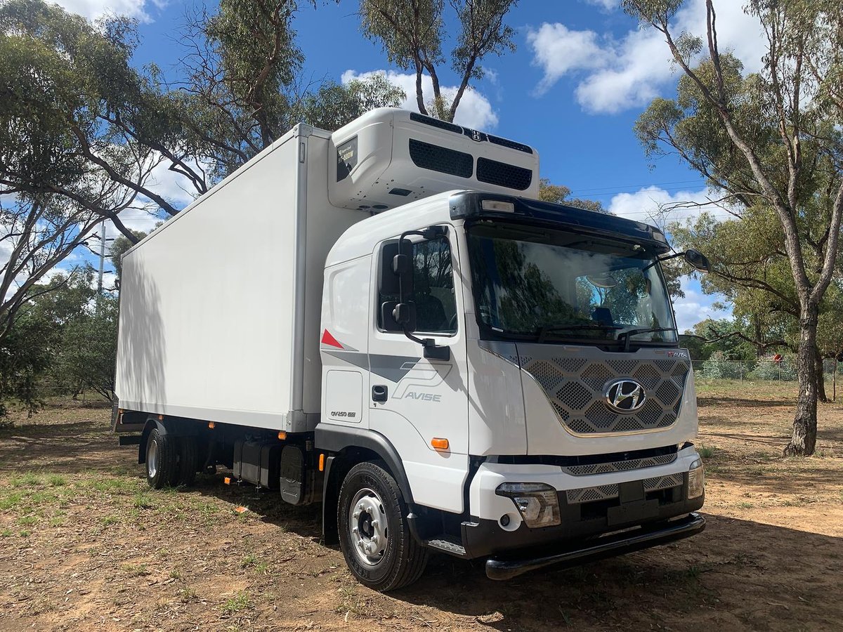 2025 Hyundai Pavise D115 Freezer Pantech White