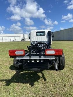 2026 Isuzu N Series image 8