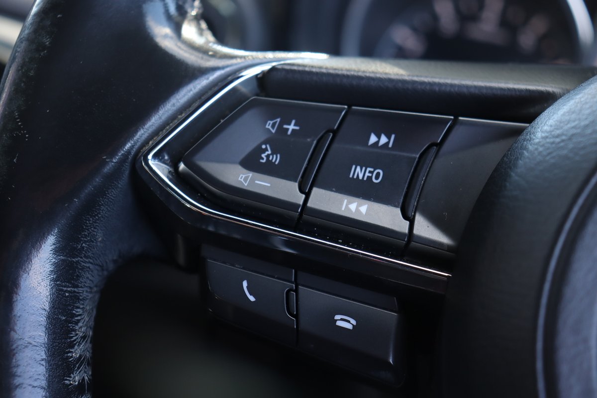 2016 Mazda CX-9 Azami TC image 17