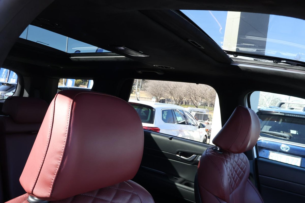2021 Hyundai Palisade Highlander LX2.V1 MY21 image 8