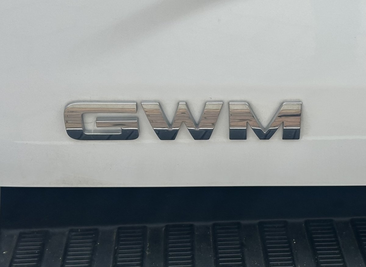 2024 GWM Ute Cannon-L CC NPW 4X4 Dual Range image 30