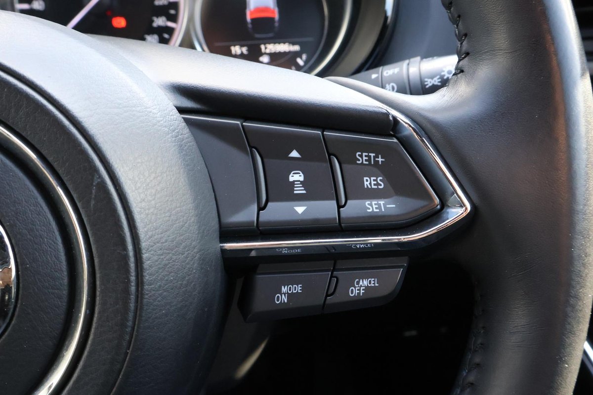 2019 Mazda CX-9 GT TC image 12