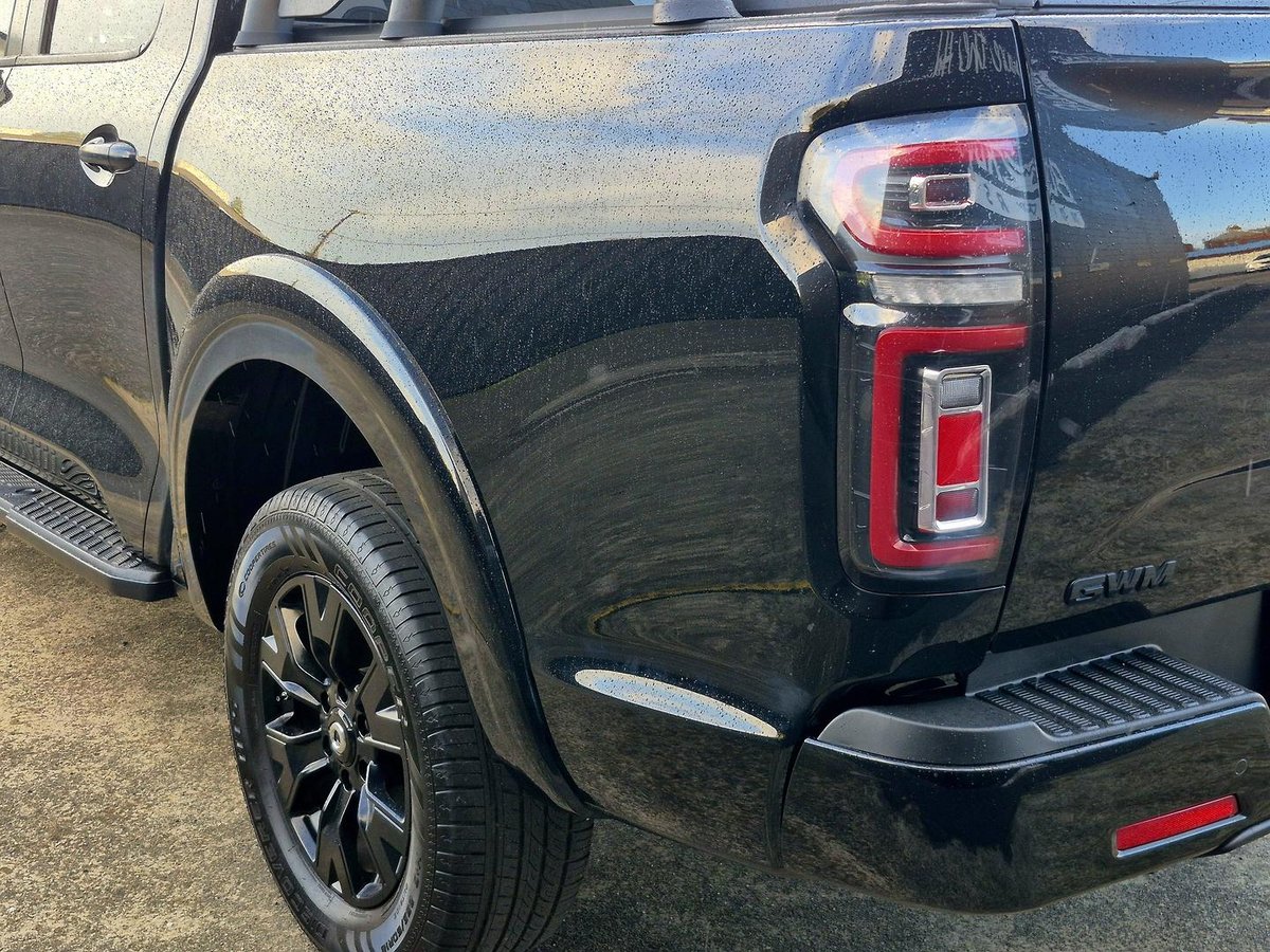 2023 GWM Ute Cannon Vanta NPW 4X4 Dual Range image 24