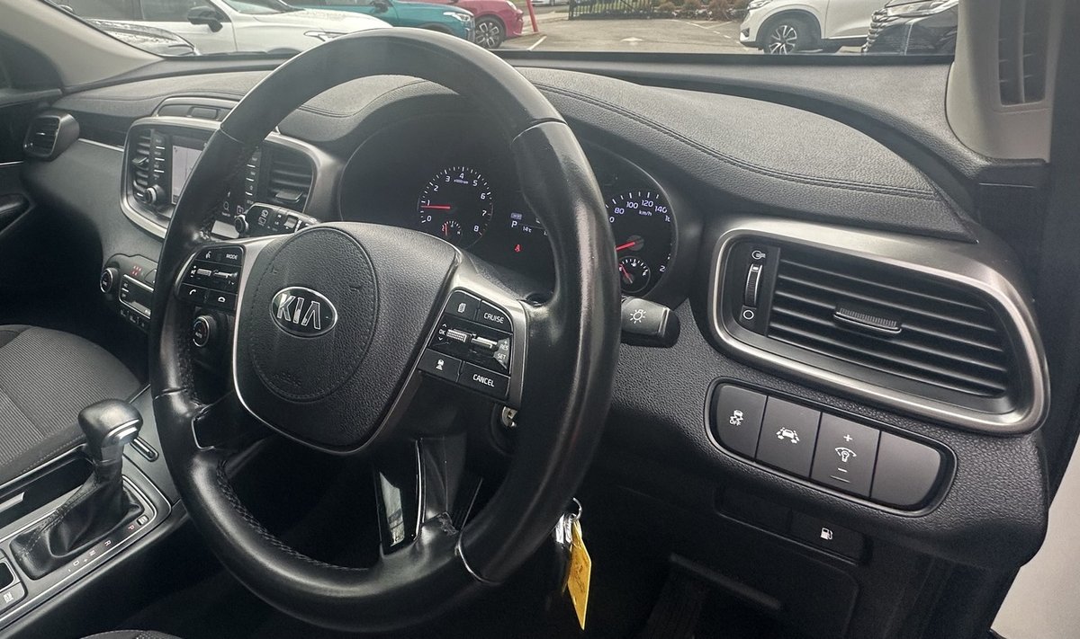 2018 Kia Sorento Si UM MY18 image 14