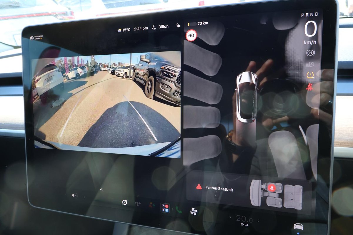 2022 Tesla Model 3 Rear-Wheel Drive image 15