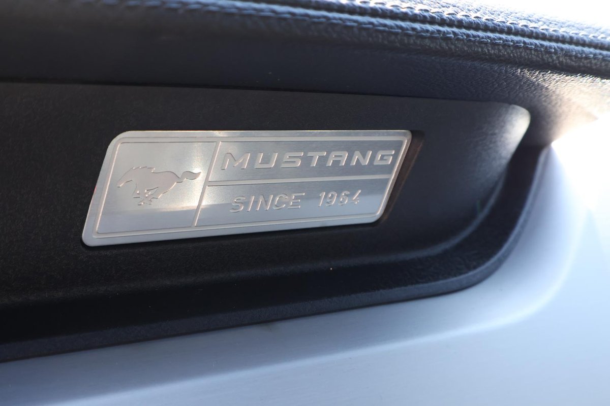 2017 Ford Mustang GT FM MY17 image 25