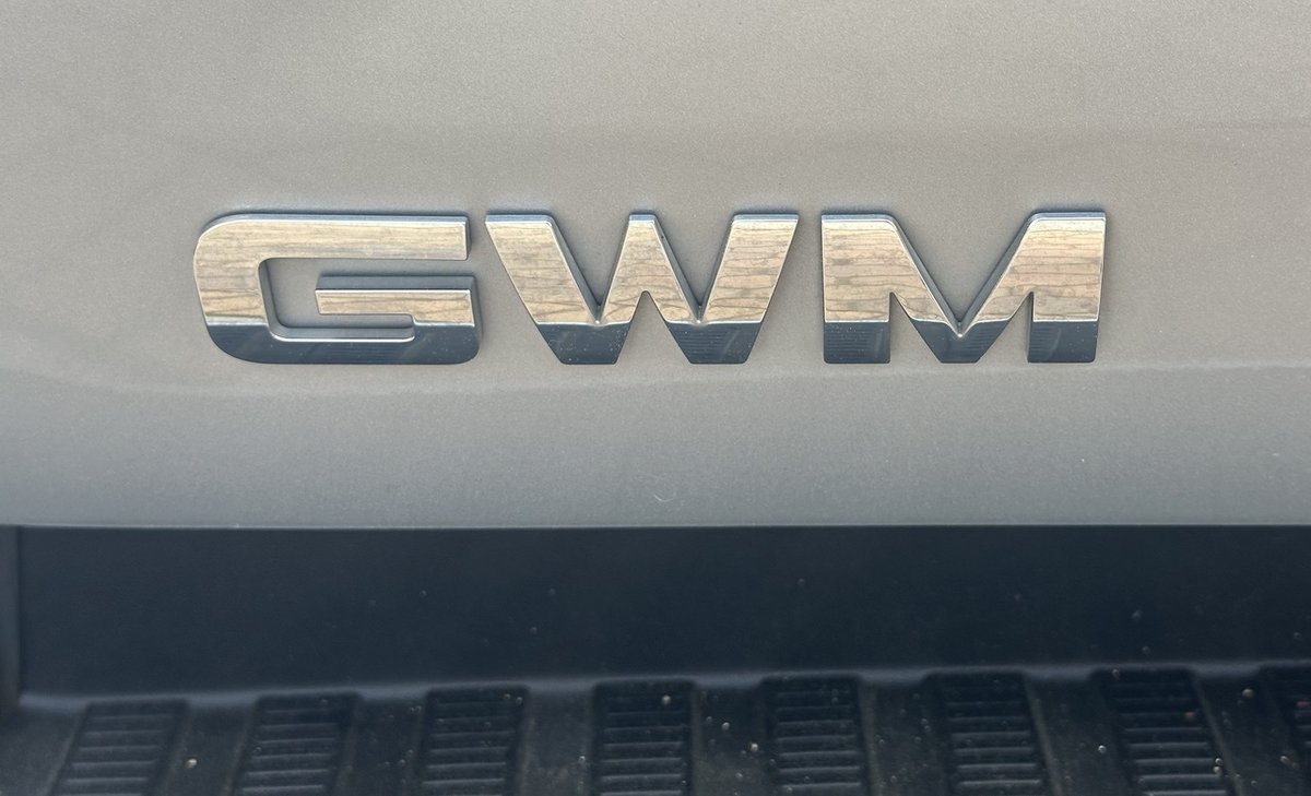 2021 GWM Ute Cannon NPW 4X4 Dual Range image 27