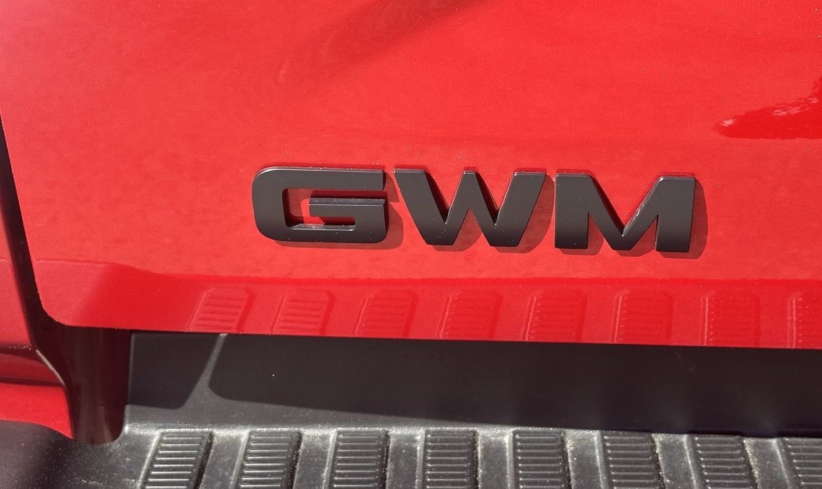 2024 GWM Ute Cannon Vanta NPW 4X4 Dual Range image 31