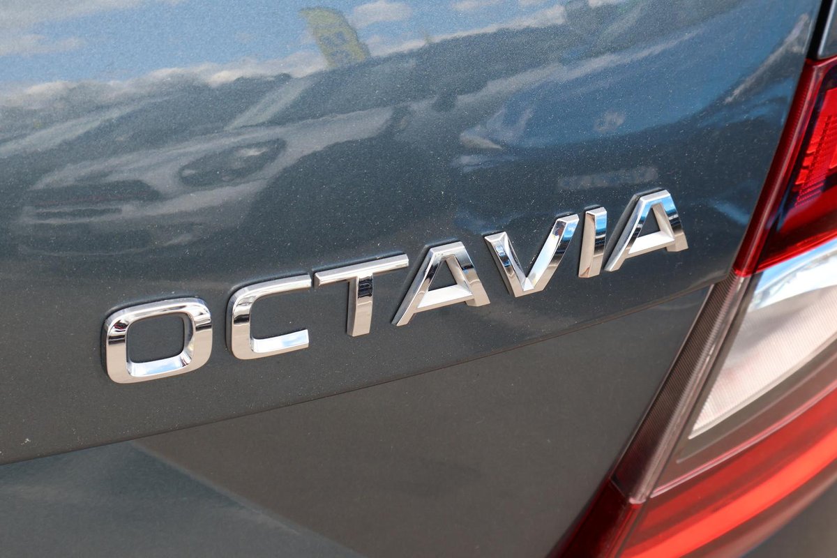 2019 SKODA Octavia 110TSI NE MY20.5 image 30