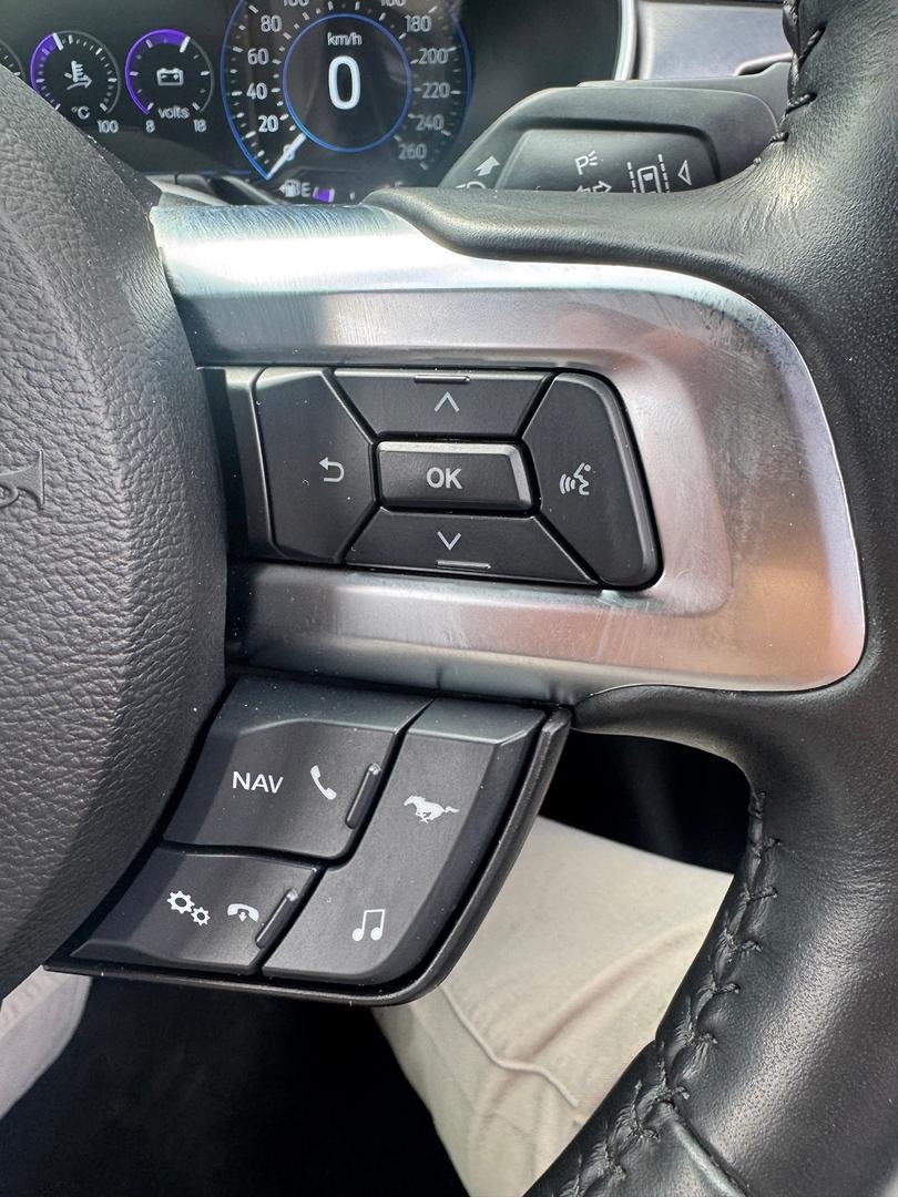 2019 Ford Mustang GT FN MY20 image 19