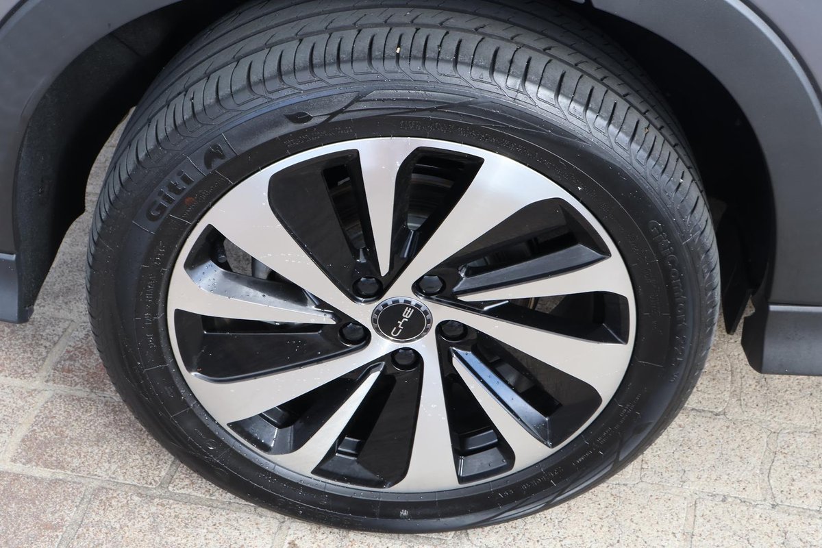 2024 BYD SEALION 6 Premium AWD image 31
