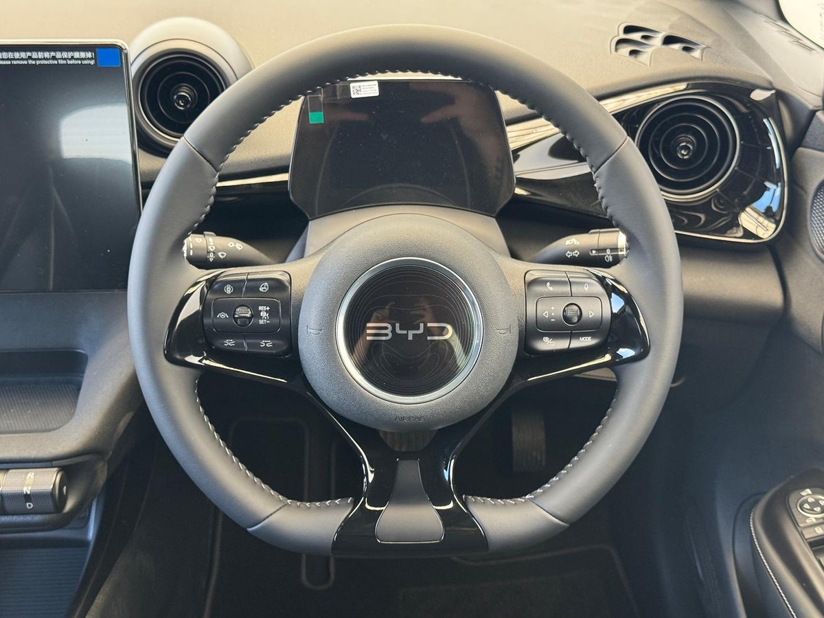 2026 BYD DOLPHIN Premium MY25 image 20