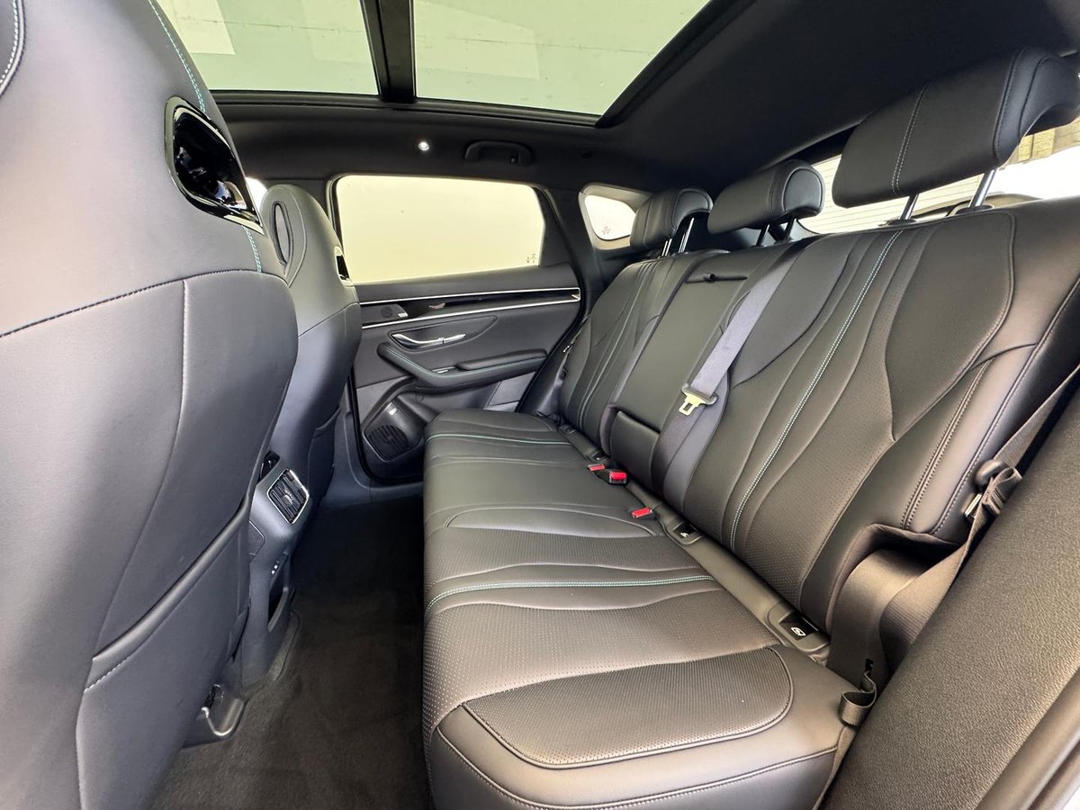 2026 BYD SEALION 6 Dynamic Extended Range MY25 image 10