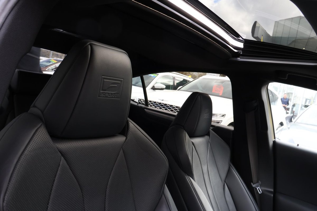 2020 Lexus ES 300h F Sport AXZH10R image 8