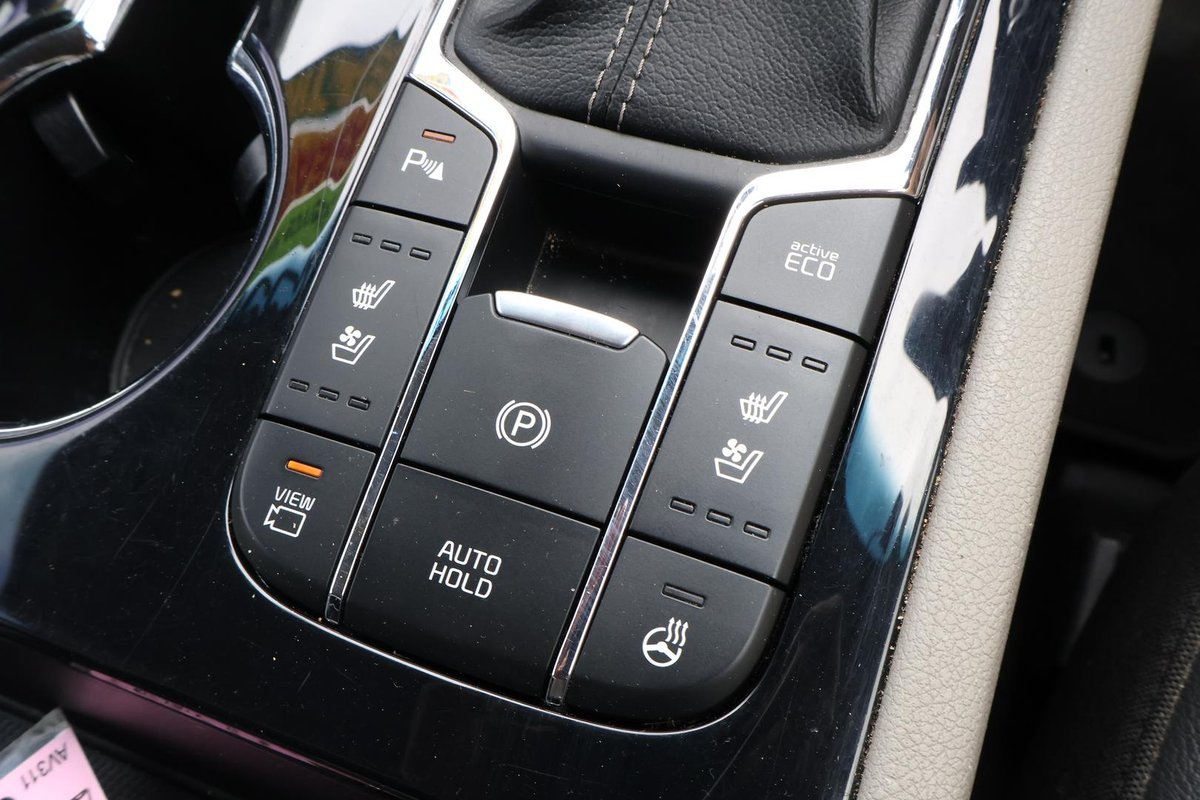 2019 Kia Carnival Platinum YP MY19 image 24