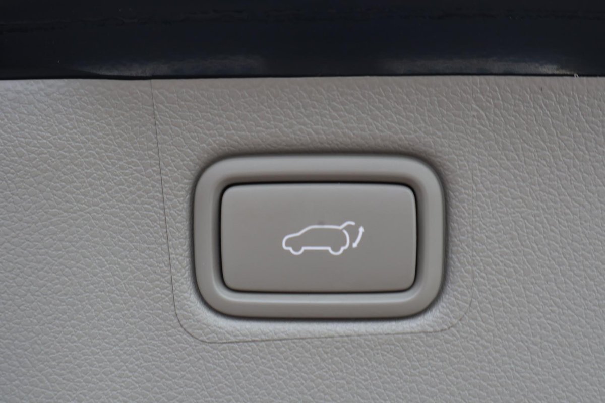 2019 Kia Carnival Platinum YP MY19 image 13