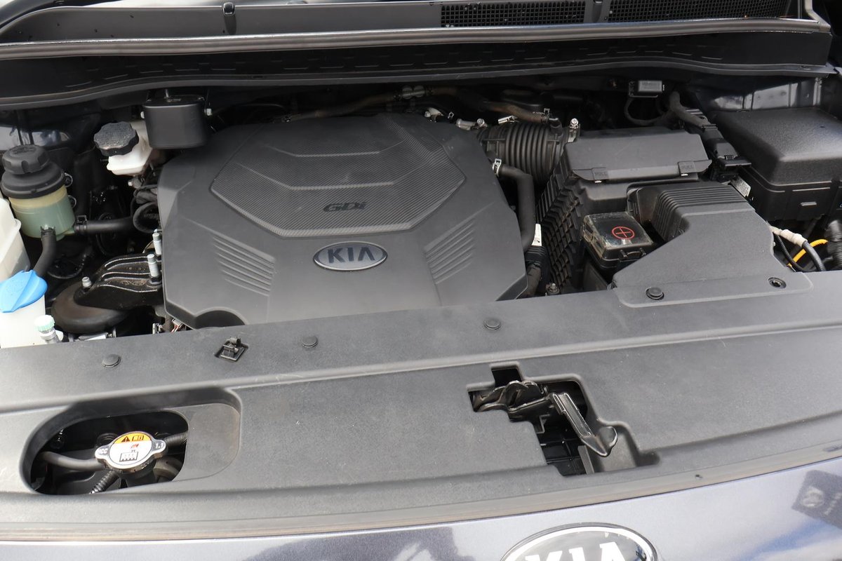 2019 Kia Carnival Platinum YP MY19 image 14