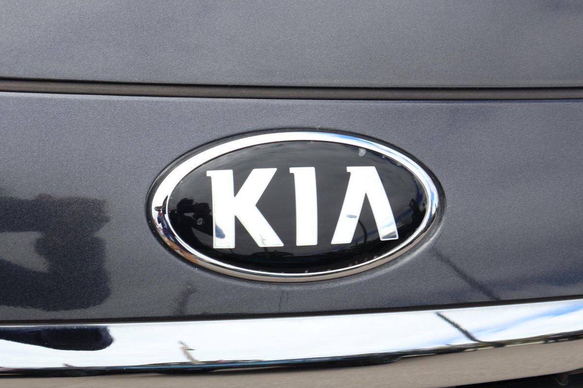 2019 Kia Carnival Platinum YP MY19 image 9