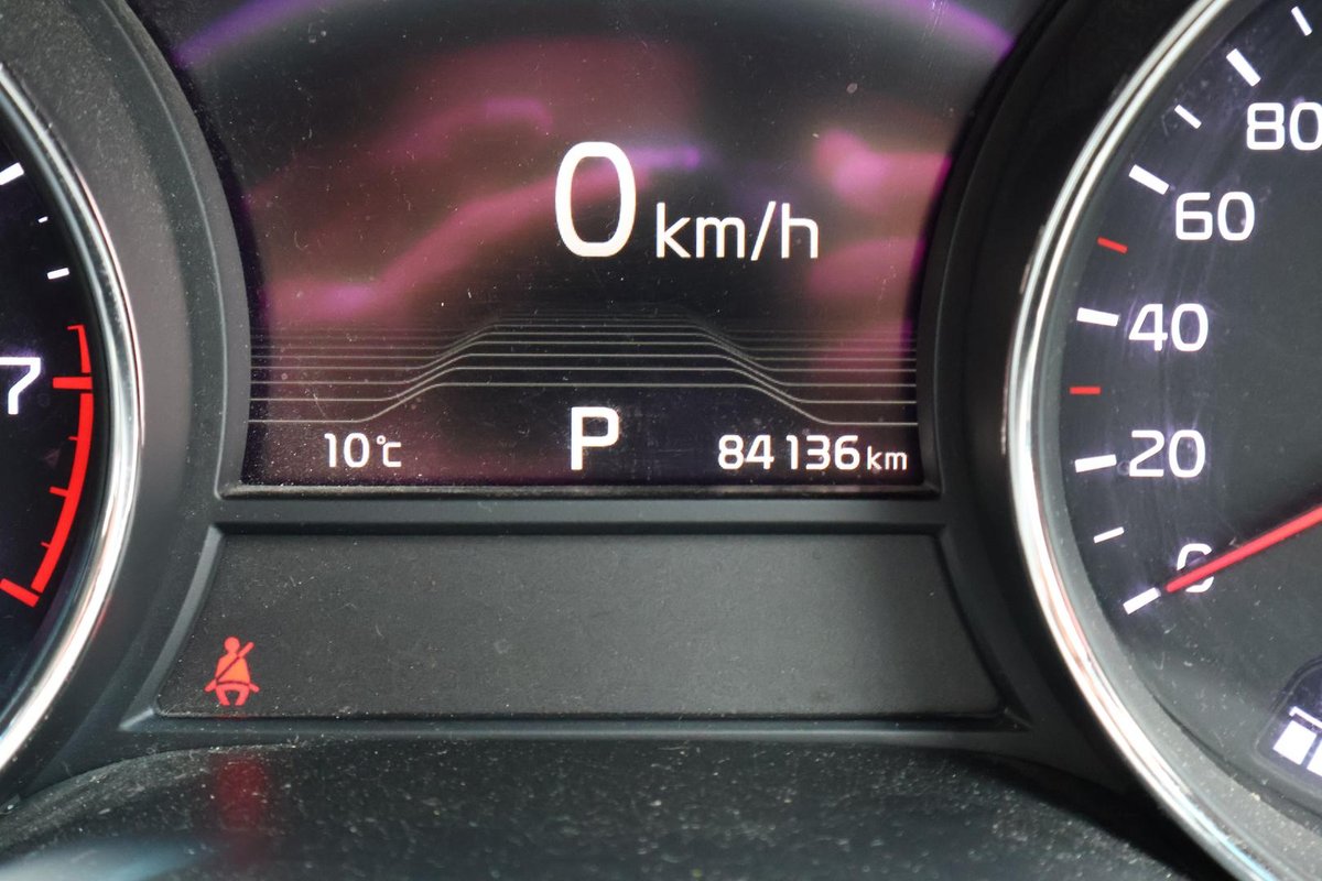 2019 Kia Carnival Platinum YP MY19 image 30