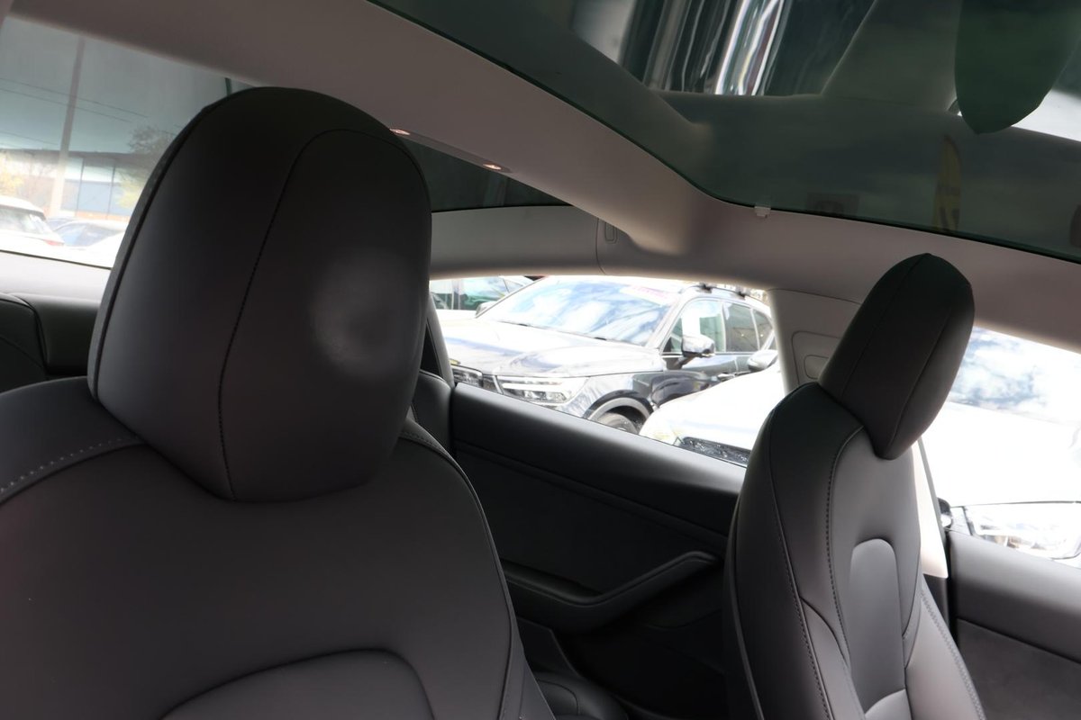 2022 Tesla Model 3 Rear-Wheel Drive image 15