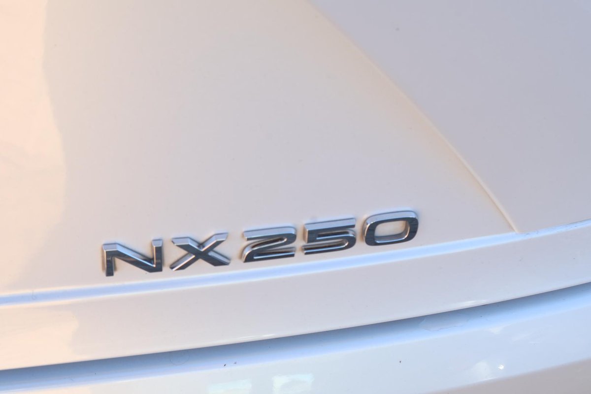 2023 Lexus NX 250 AAZA20R image 11