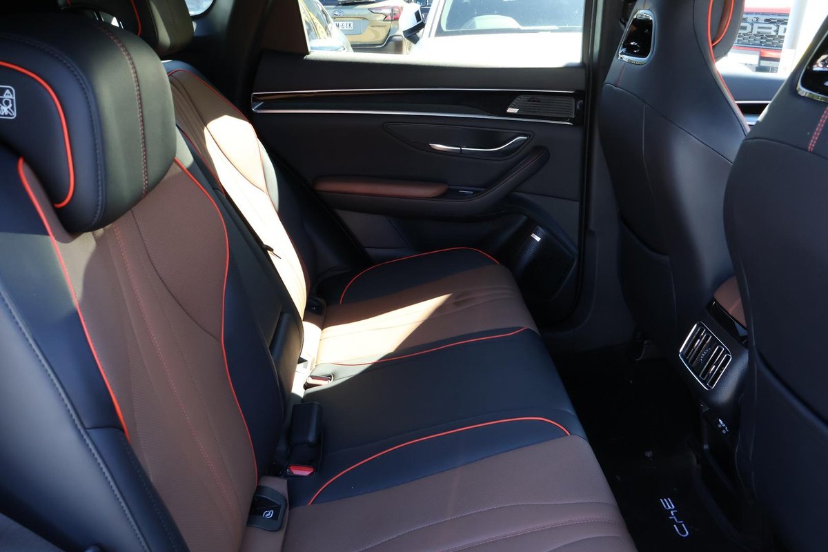2024 BYD SEALION 6 Dynamic image 24
