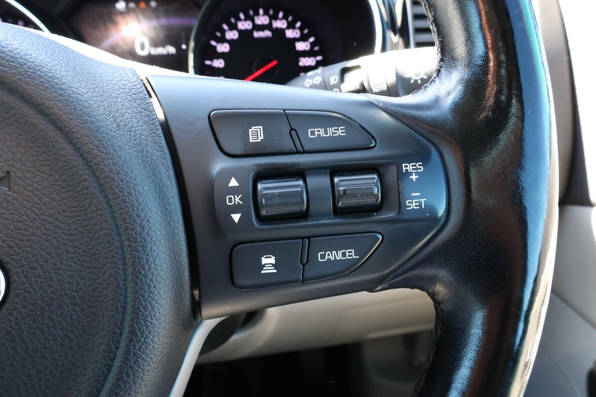 2015 Kia Carnival Platinum YP MY15 image 11