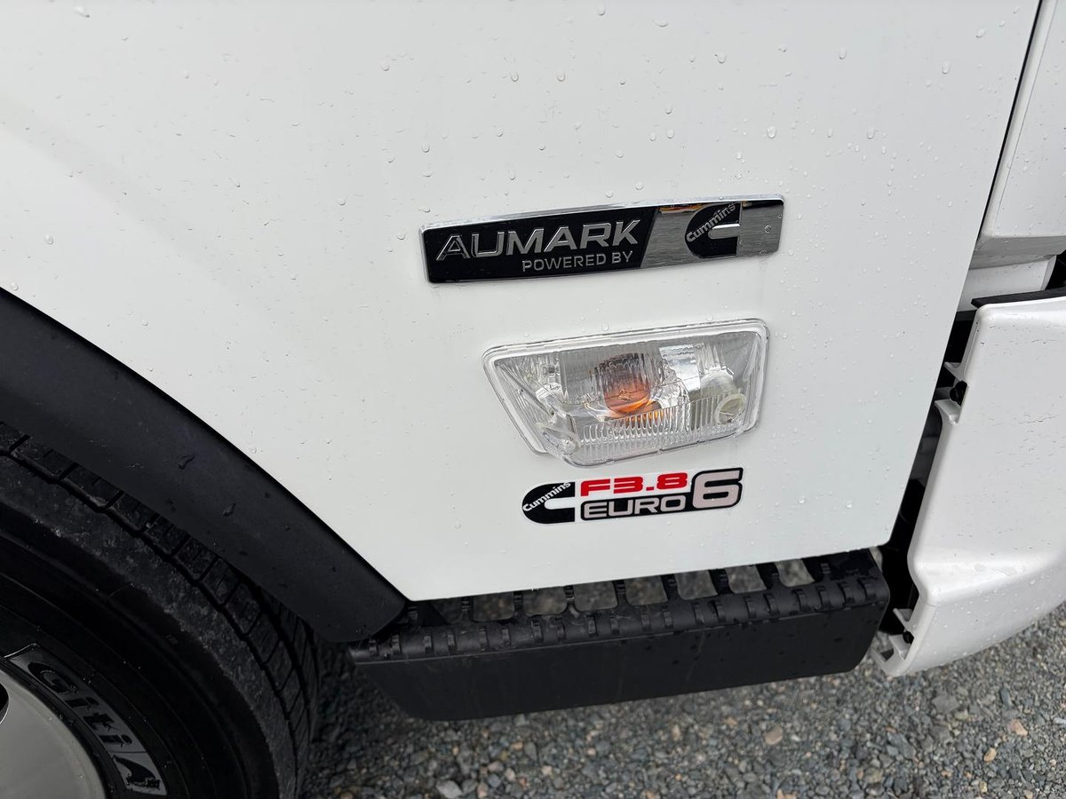 2026 Foton Aumark S 9D15 image 17