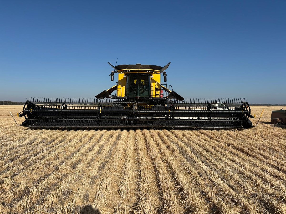 2021 New Holland Cr9.90 image 2