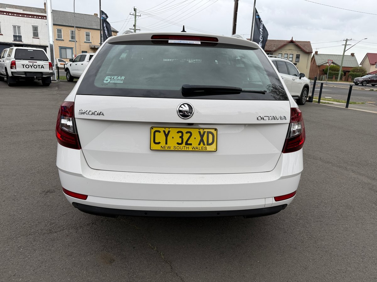 2020 SKODA OCTAVIA 110 TSI BASE NE MY20 image 7