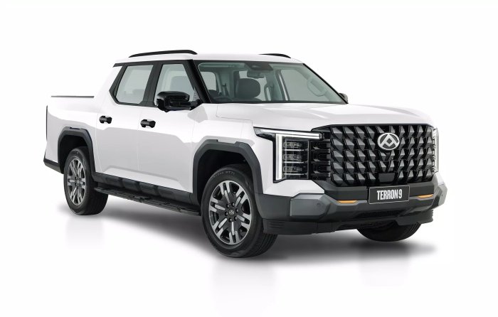 2025 LDV Terron 9 Evolve EKK1C WHITE