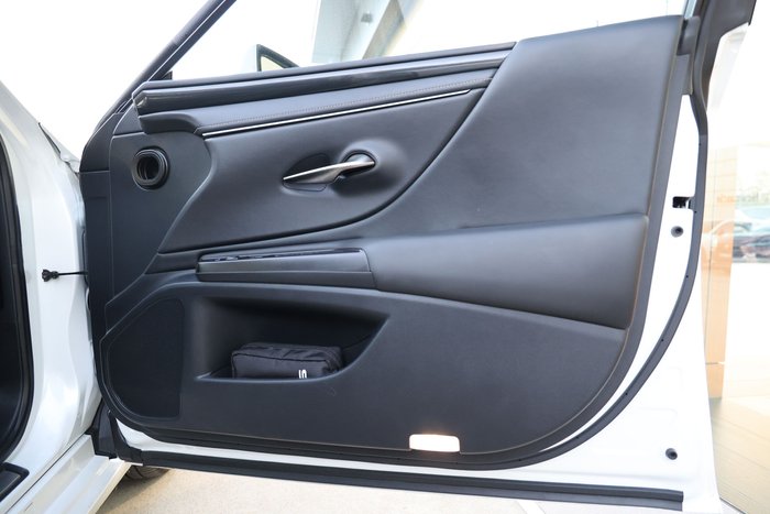 2019 Lexus ES300h ES300h Luxury 2.5L Hybrid Auto CVT Sedan 2435220 002
