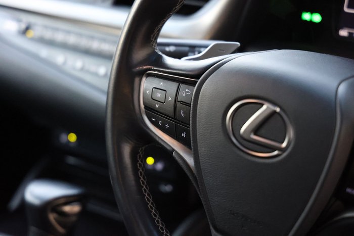2019 Lexus ES300h ES300h Luxury 2.5L Hybrid Auto CVT Sedan 2435220 002