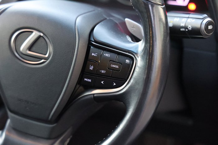 2019 Lexus ES300h ES300h Luxury 2.5L Hybrid Auto CVT Sedan 2435220 002