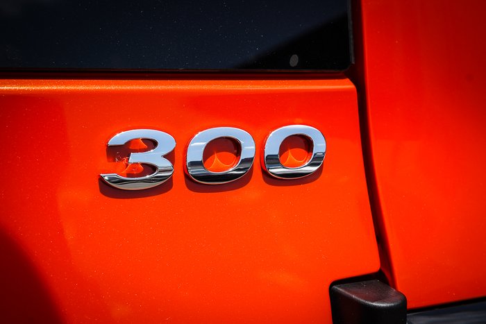 2025 GWM GWM TANK 300