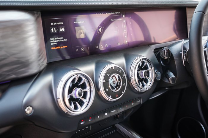 2025 GWM GWM TANK 300