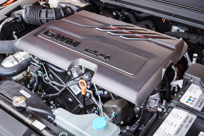 2025 GWM GWM TANK 300