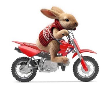 2025 Honda CRF125F Red