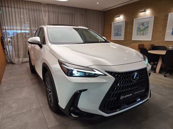 2024 Lexus NX250 Base 2.5L Petrol Automatic Wagon