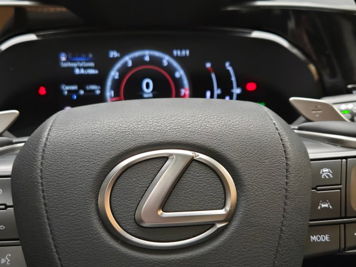 2024 Lexus NX250 Base 2.5L Petrol Automatic Wagon