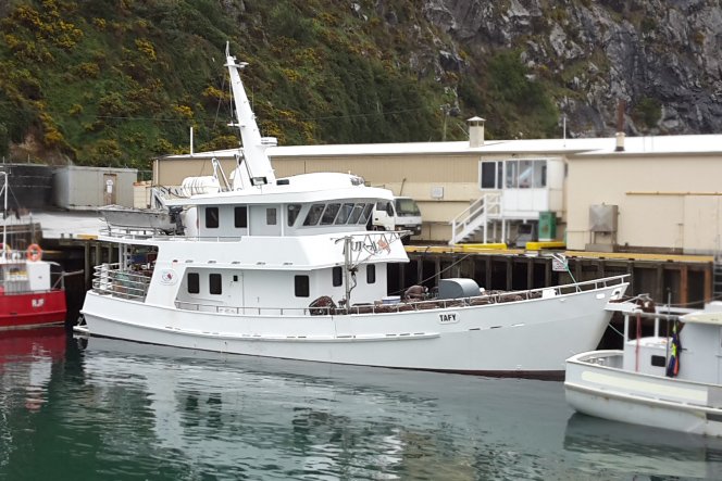 1999 COMMERCIAL Charter
