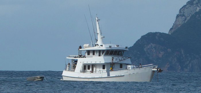 1999 COMMERCIAL Charter