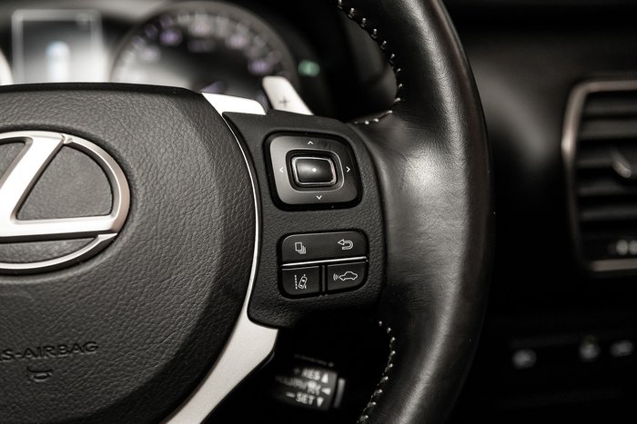 2019 Lexus NX300 Luxury 2.0L Turbo Automatic Wagon