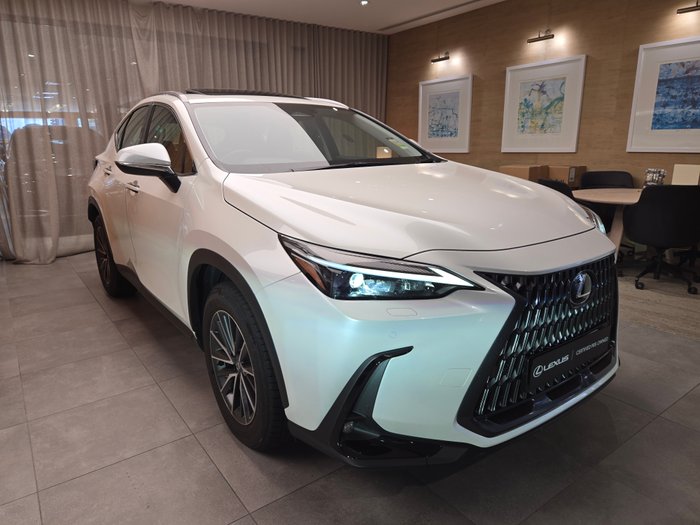 2025 Lexus NX250